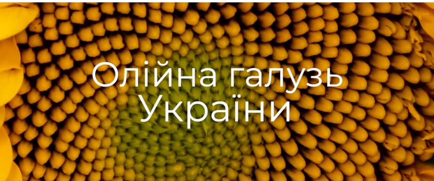Кейс документальных фильмов" Фильм Масличная Отрасль Украины"